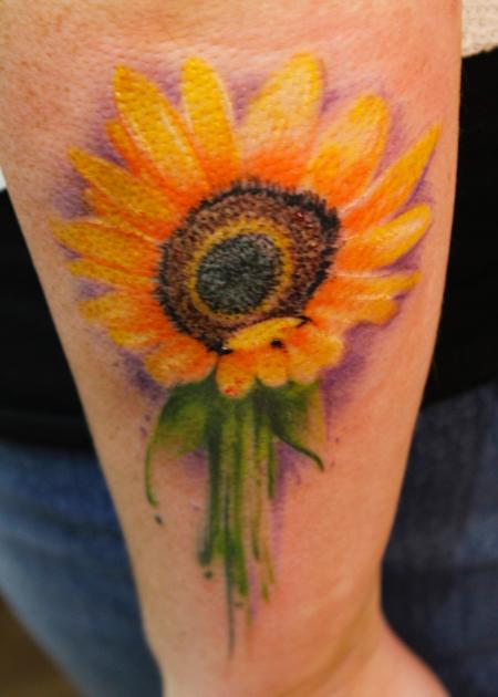 Steve Phipps - Sunflower